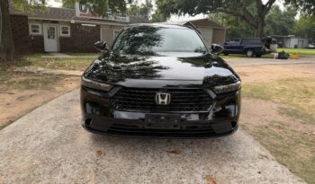 2023 HONDA ACCORD BLACK full